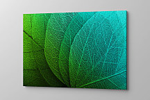 Obraz Štruktúra listu 1897